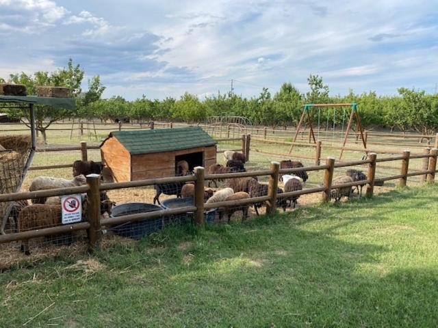 Agriturismo San Michele San Michele  Екстер'єр фото