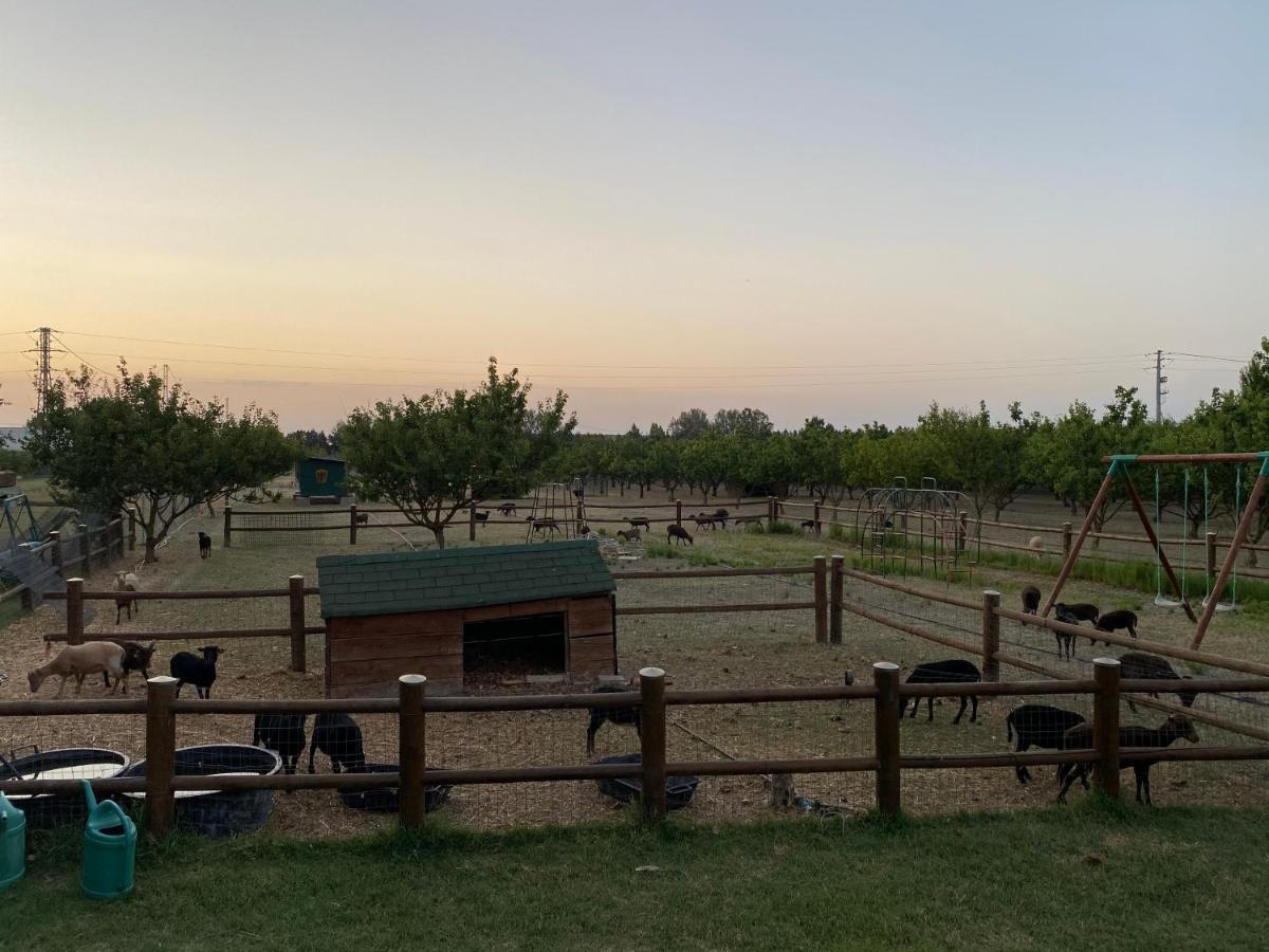 Agriturismo San Michele San Michele  Екстер'єр фото